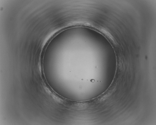 X0000074310888200609081939