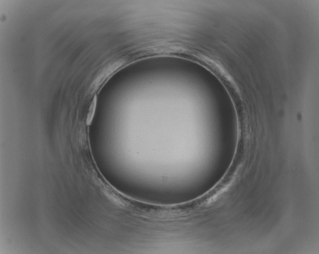 X0000074310889200609081939