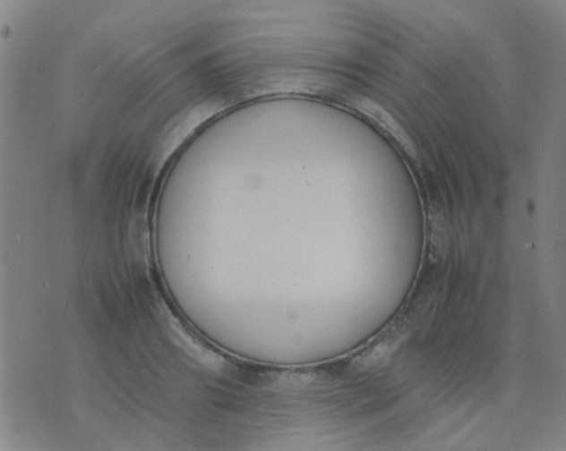 X0000074310890200609081939