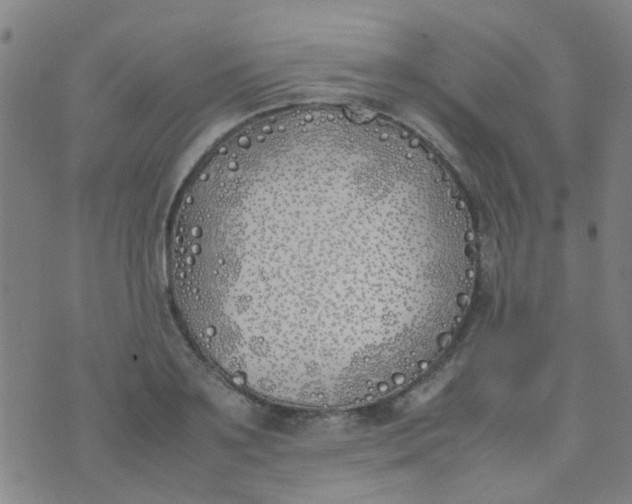 X0000074310891200609081939