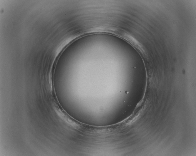 X0000074310892200609081939