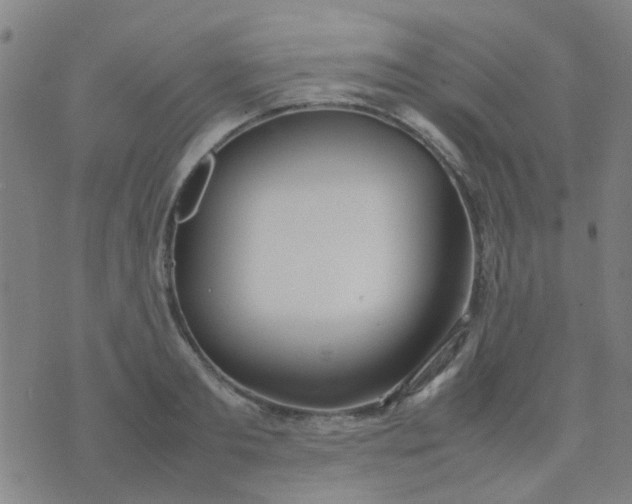 X0000074310893200609081939