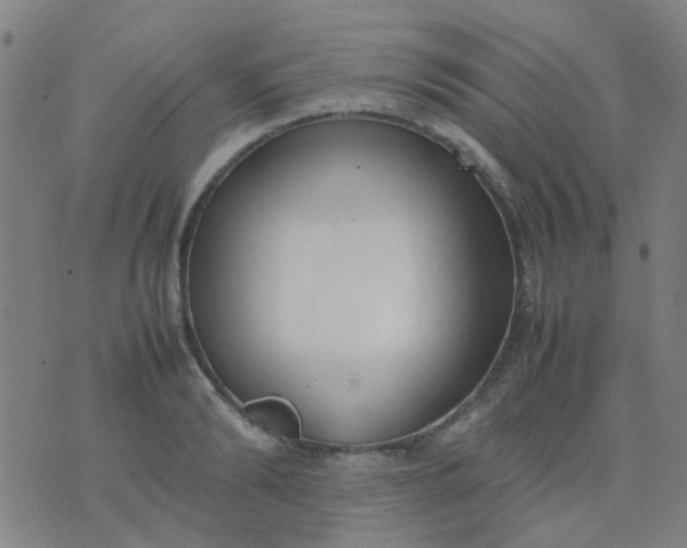 X0000074310894200609081939