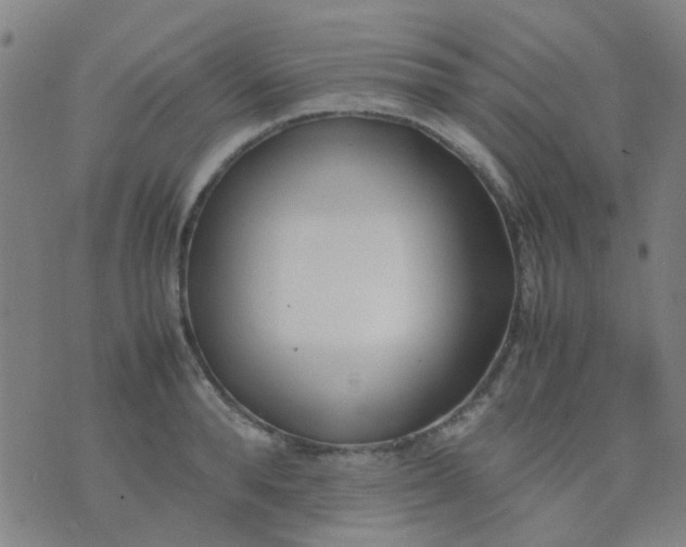 X0000074310896200609081939