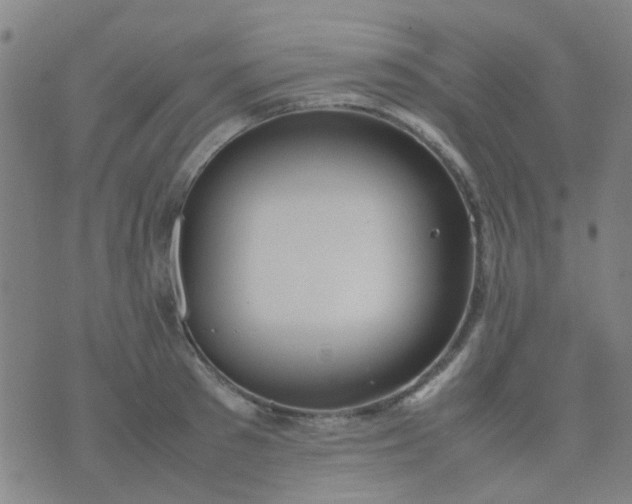 X0000074310897200609081939