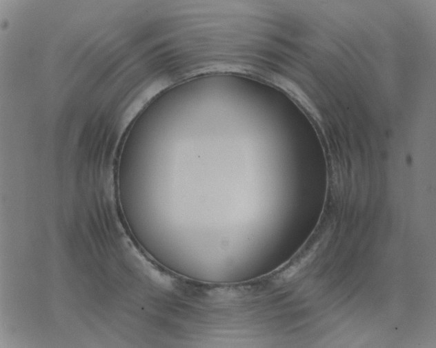 X0000074310898200609081939