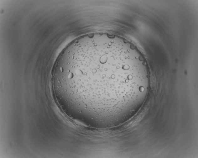 X0000074310899200609081939