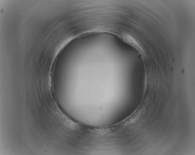 X0000074310900200609081939