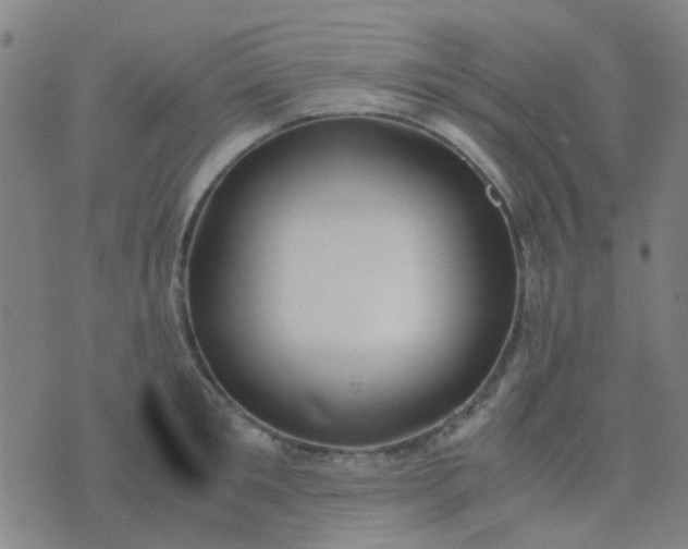 X0000074310901200609081939