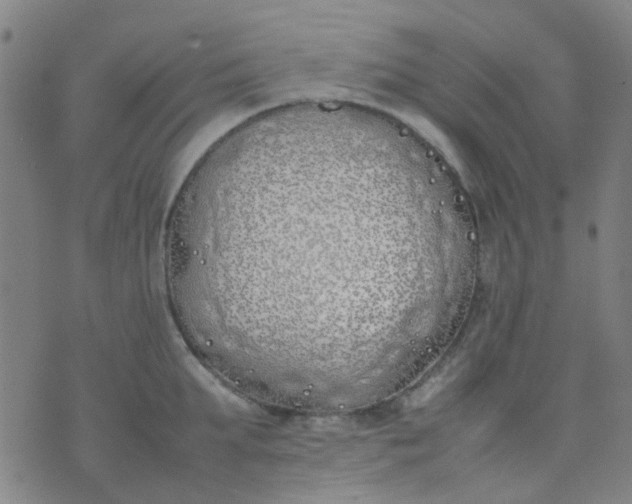 X0000074310903200609081939