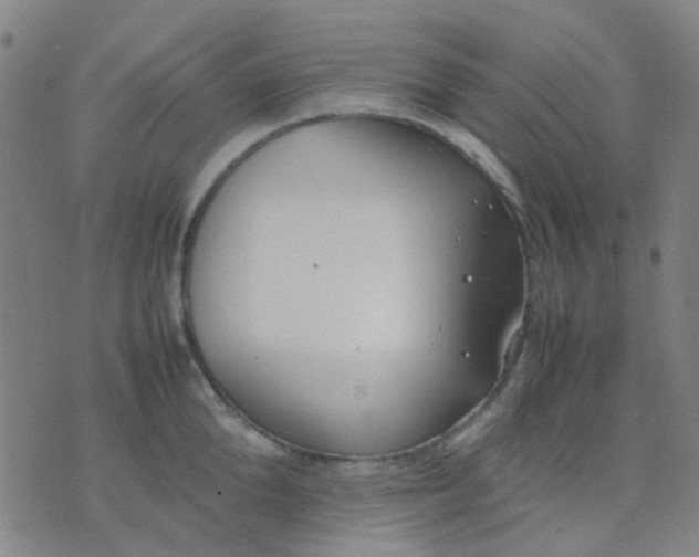 X0000074310904200609081939