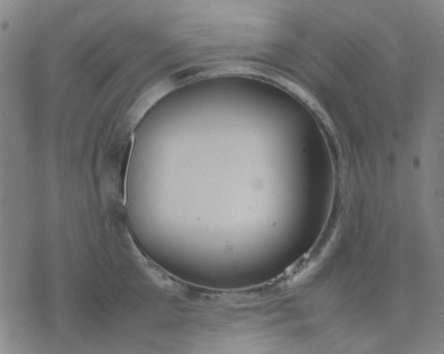 X0000074310905200609081939