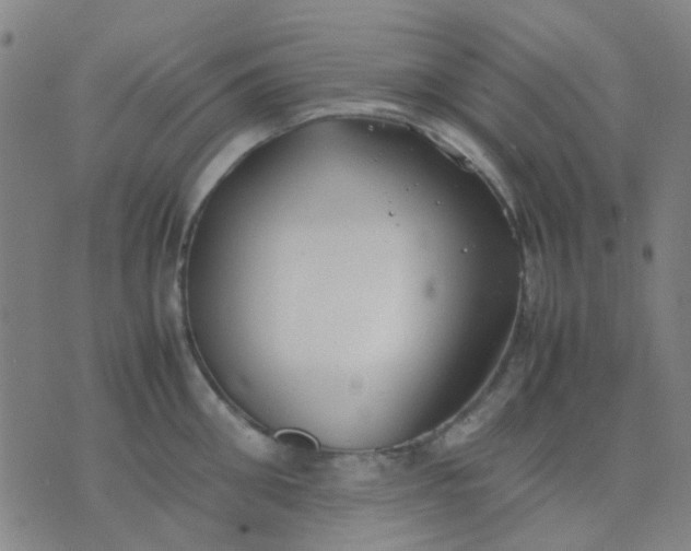 X0000074310906200609081939