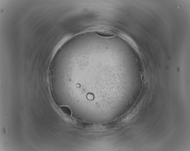 X0000074310907200609081939