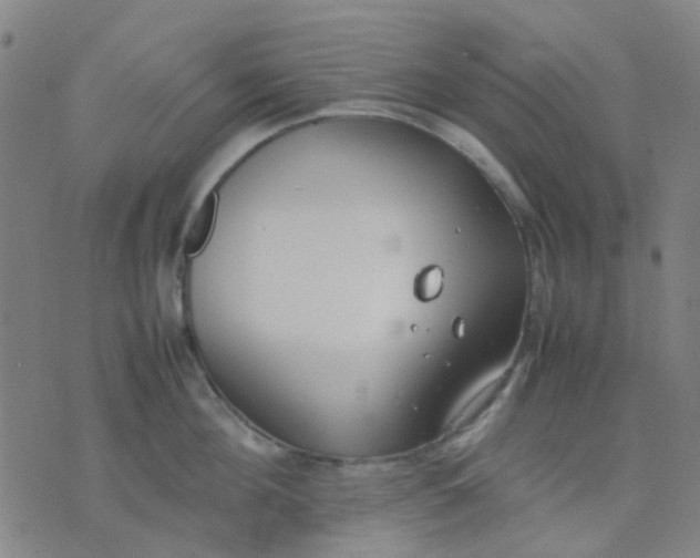 X0000074310908200609081939