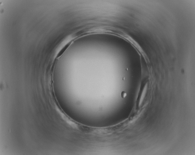 X0000074310909200609081939