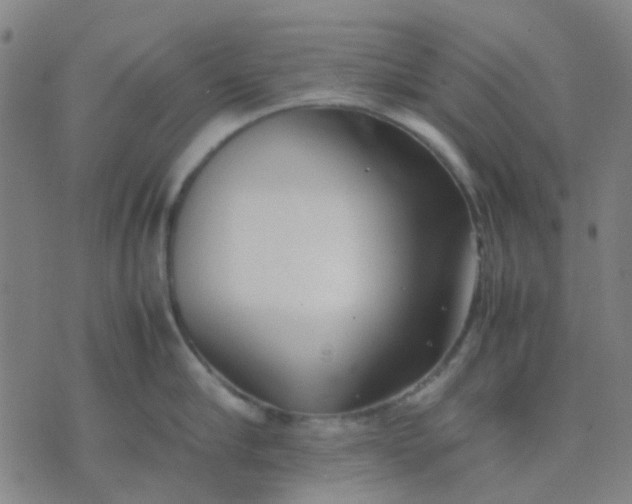 X0000074310910200609081939