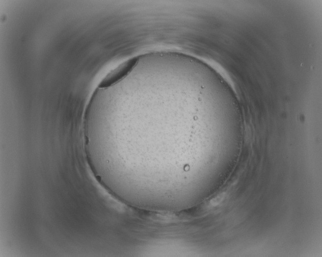 X0000074310911200609081939