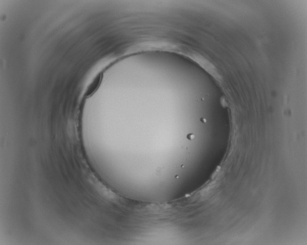 X0000074310912200609081939