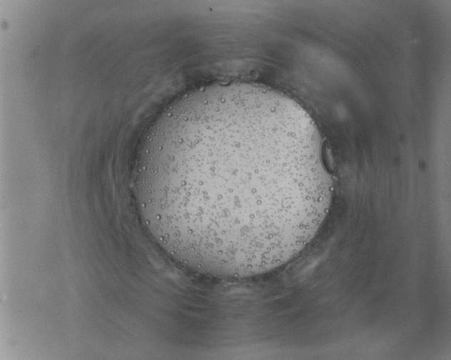 X0000074310913200609081938