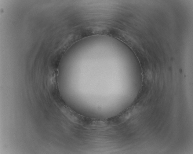 X0000074310914200609081938