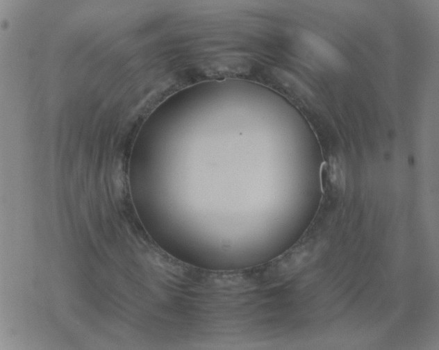 X0000074310915200609081938