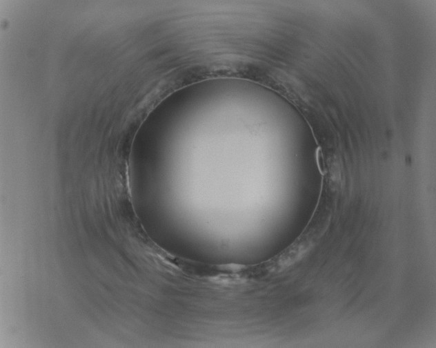 X0000074310916200609081938