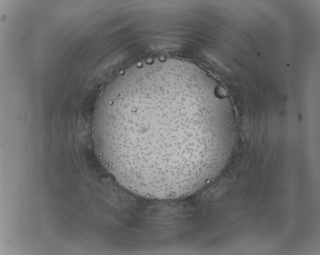 X0000074310917200609081938