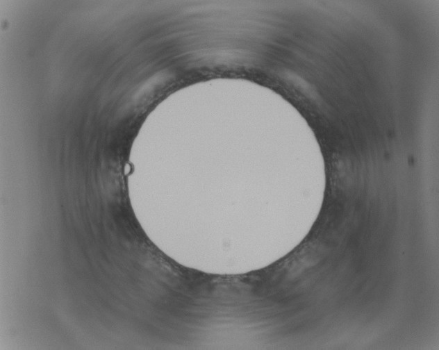 X0000074310918200609081938