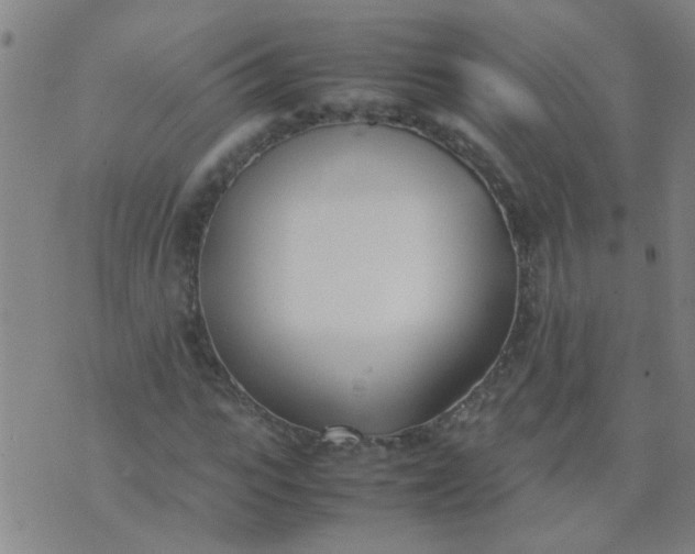 X0000074310919200609081938