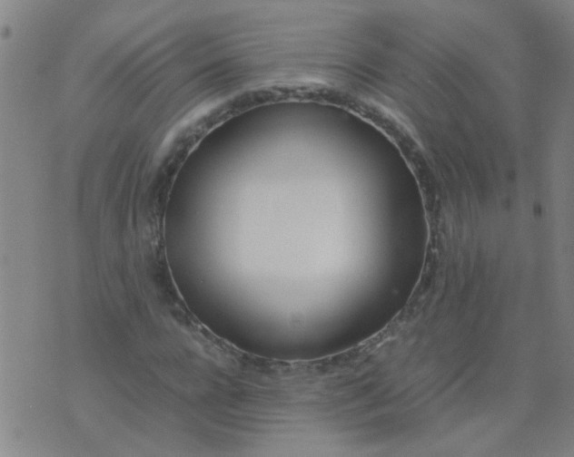 X0000074310920200609081938