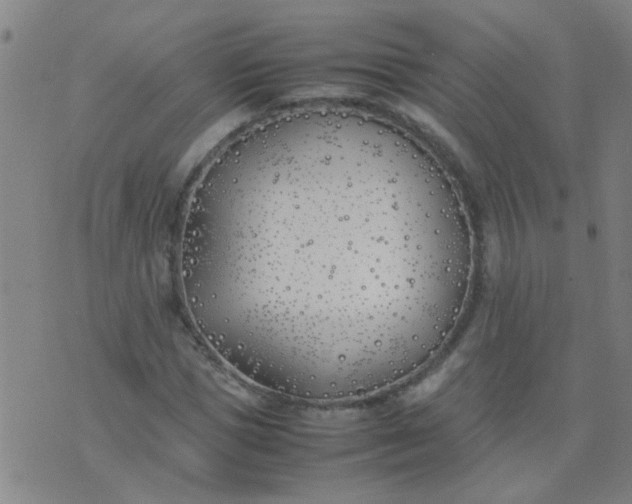 X0000074310921200609081938