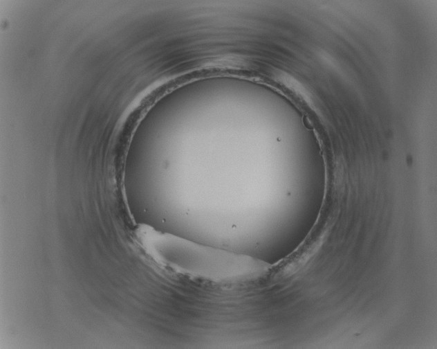 X0000074310923200609081938