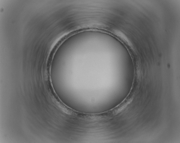 X0000074310924200609081938