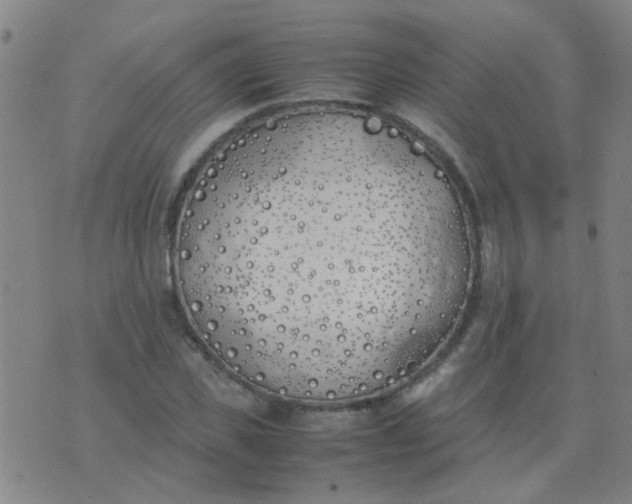 X0000074310925200609081938