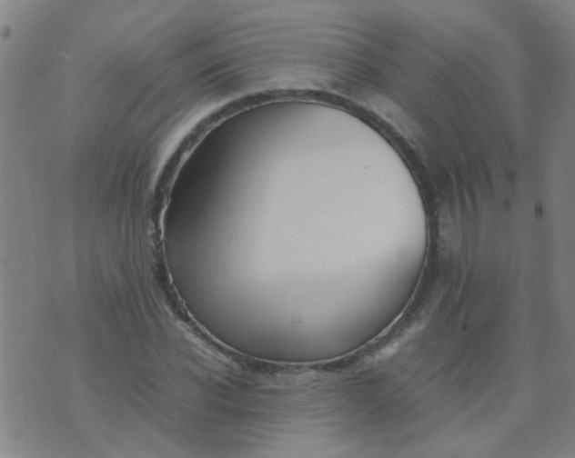 X0000074310926200609081938