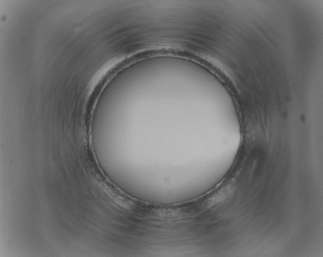 X0000074310927200609081938