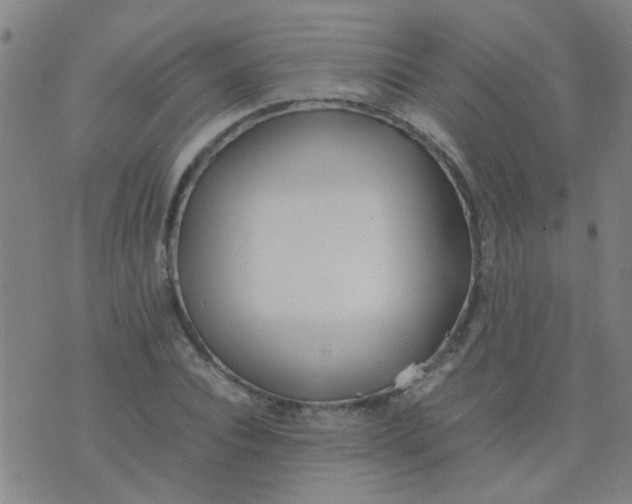 X0000074310928200609081938