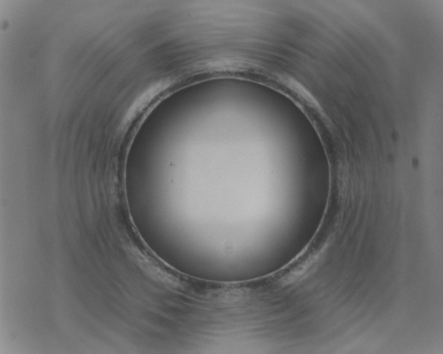 X0000074310930200609081938