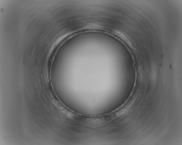 X0000074310931200609081938