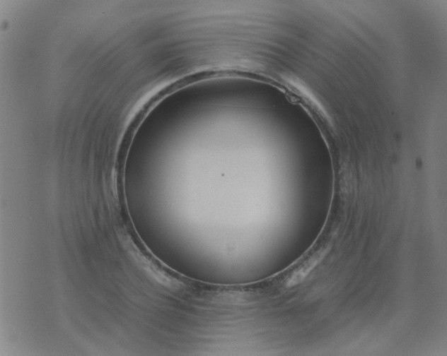 X0000074310932200609081938