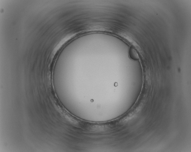 X0000074310933200609081938