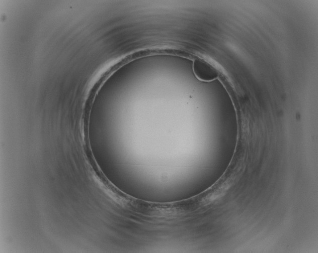 X0000074310935200609081938