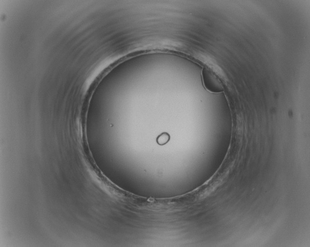 X0000074310936200609081938