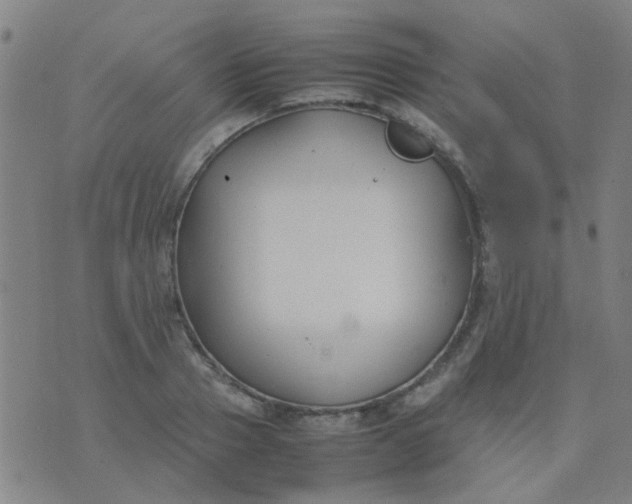 X0000074310937200609081938