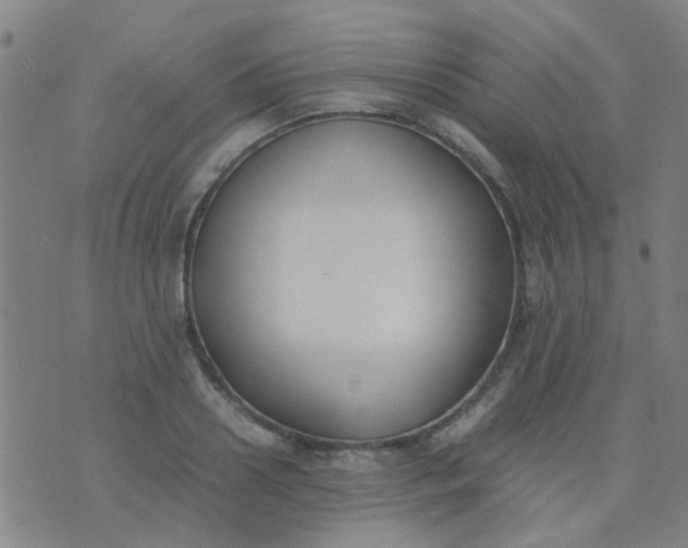 X0000074310938200609081938