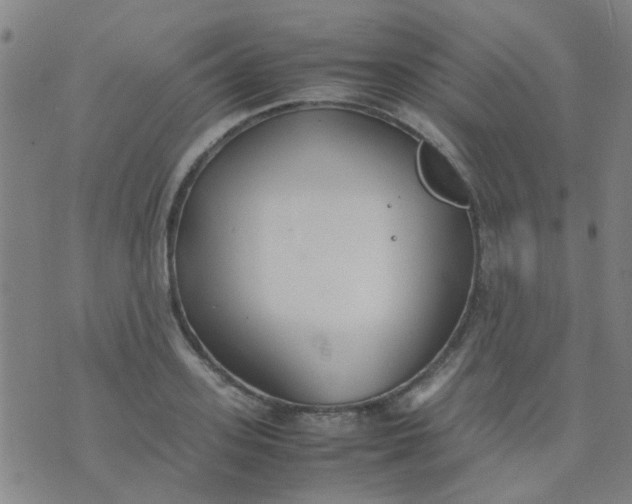 X0000074310939200609081938