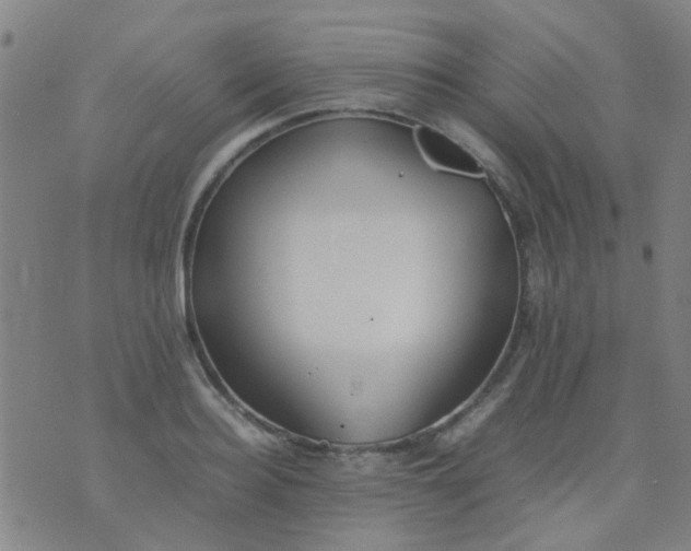 X0000074310940200609081939