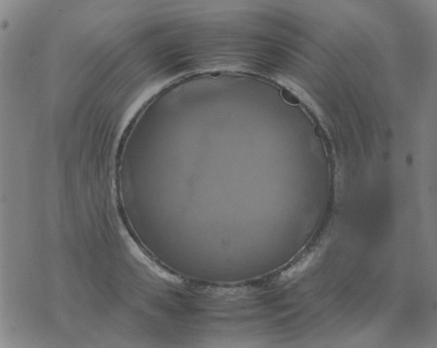 X0000074310941200609081939