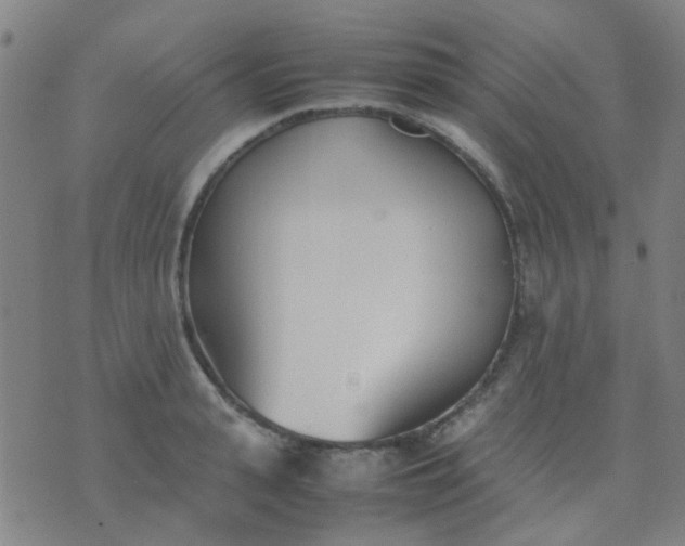 X0000074310943200609081939